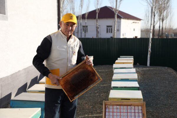 Сладкий успех фермера из региона Приаралья